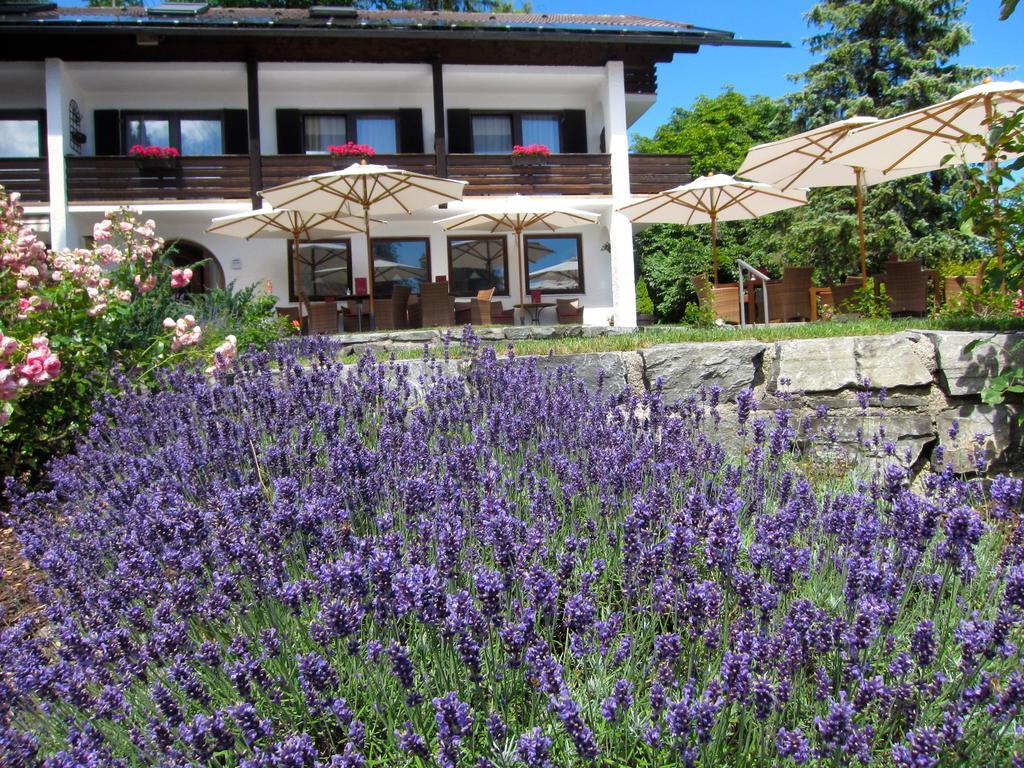 Seehof Apartments Walchensee Exterior foto